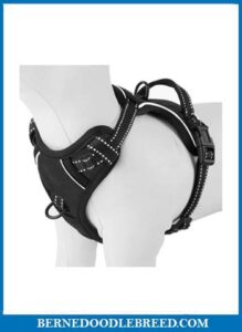 PHOEPET No Pull Dog Reflective Harness