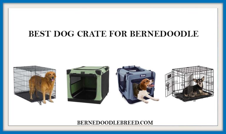 The 6 Best dog Crate for Bernedoodle 2022? – That Actually Works !