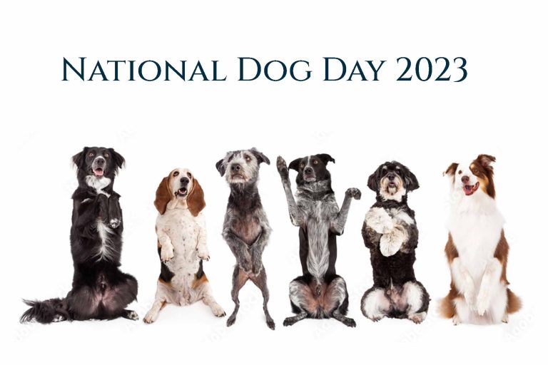 National Dog Day 2023: Celebrate and Honor Our Canine Companions
