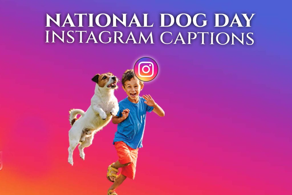 National Dog Day 2023 instagram captions