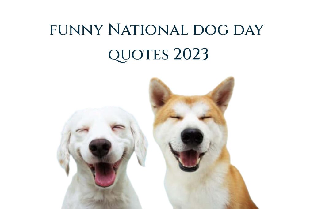 National Dog Day Quotes Funny 2023
