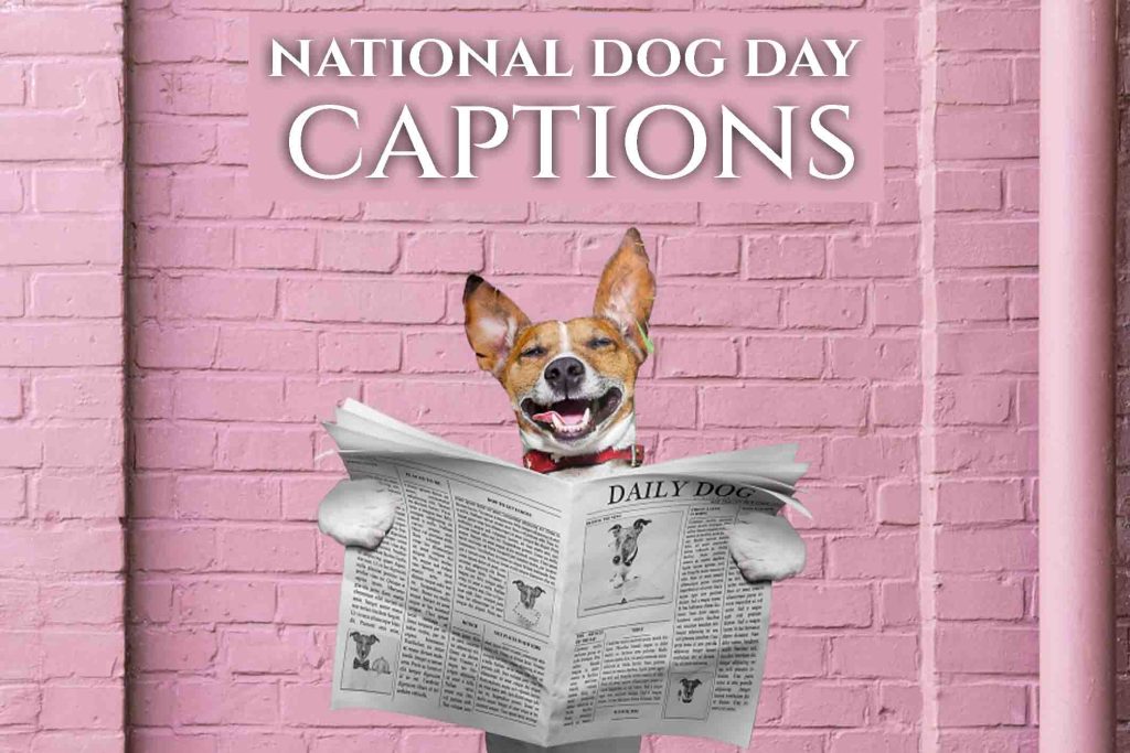 70+ Captions You Can Use for National Dog Day 2023