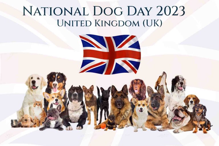Celebrating National Dog Day UK 2023: Honoring Canine Companions Across the United Kingdom