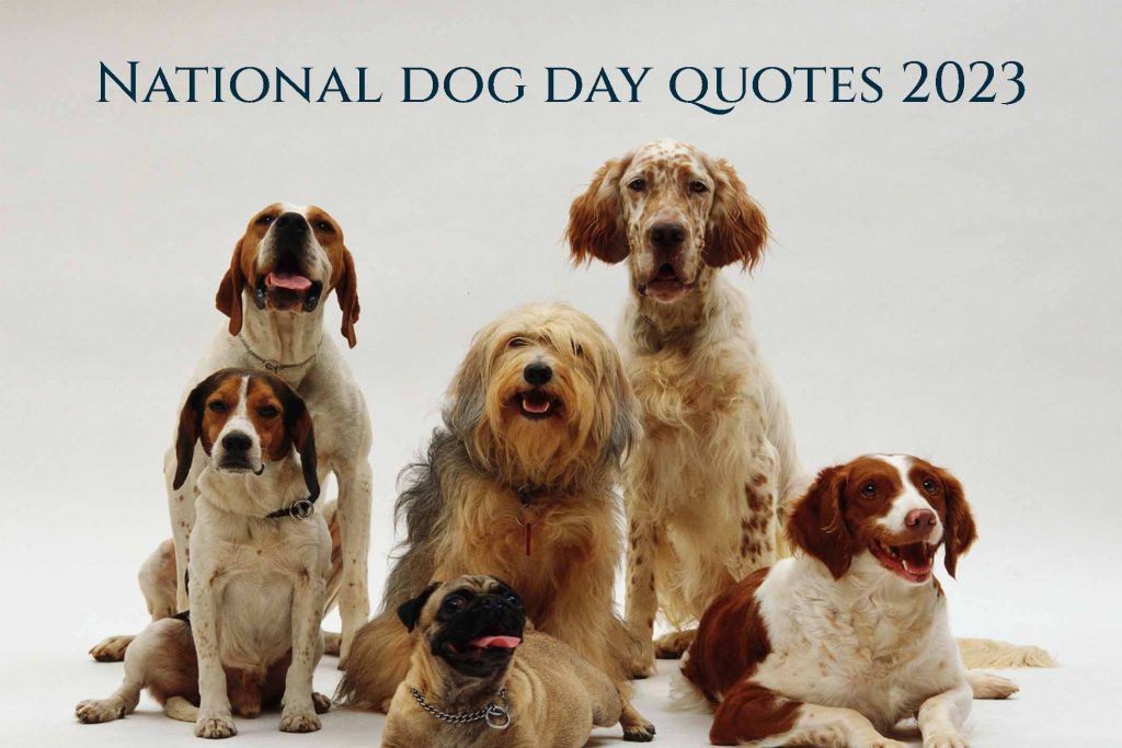 National dog day quotes 2023