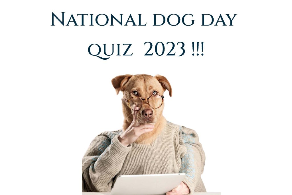 national dog day quiz 2023